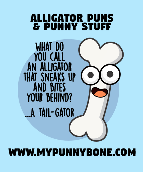 Aligator Joke
