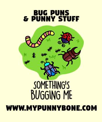 50+ Bug Puns And Jokes That Are Pretty Fly