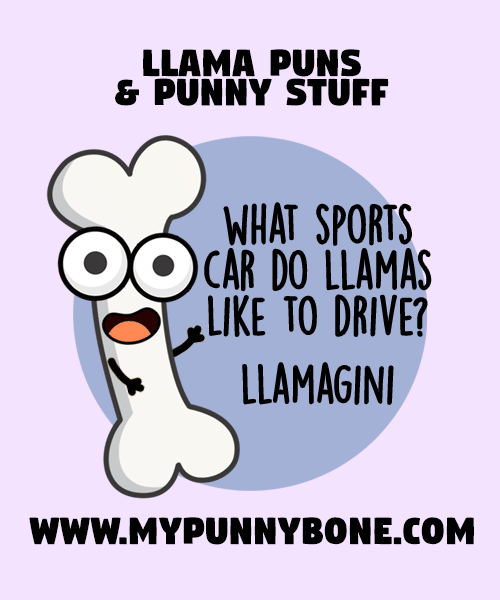 llama jokes - MyPunnyBone