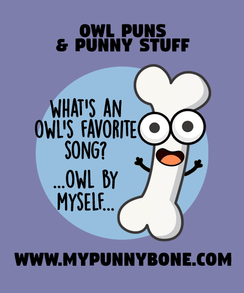 Owl Puns And Punny Stuff