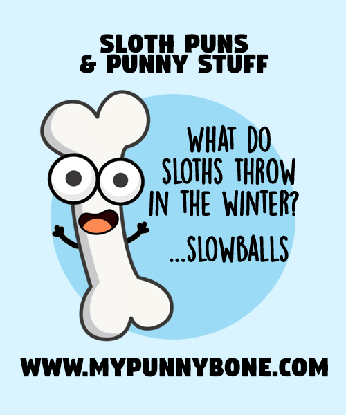 Sloth Puns And Jokes