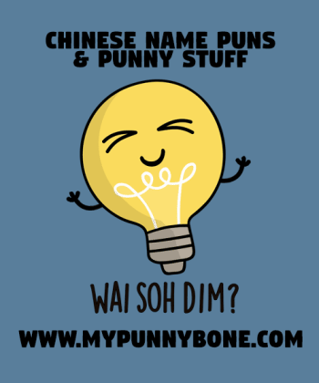 105+ Chinese Name Puns That Are Soh Fan Nie