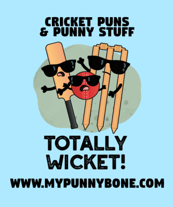 75+ Cricket Puns And Jokes To Bowl You Away
