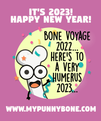Happy New Year! Here’s Our Favorite Puns In 2022