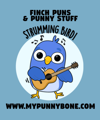 95+ Finch Puns And Jokes That Are So Fly