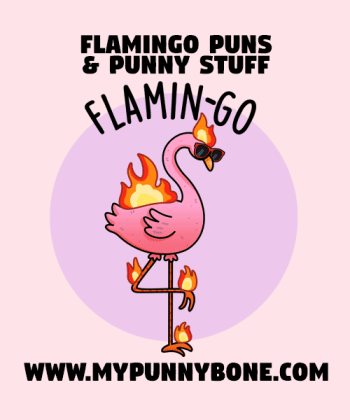 120+ Flamingo Puns And Jokes To Turn You Pink With Laughter