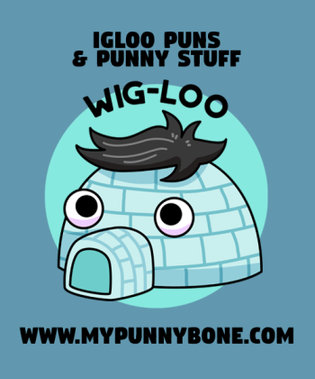 90+ Igloo Puns And Jokes To Make You Shiver With Laughter